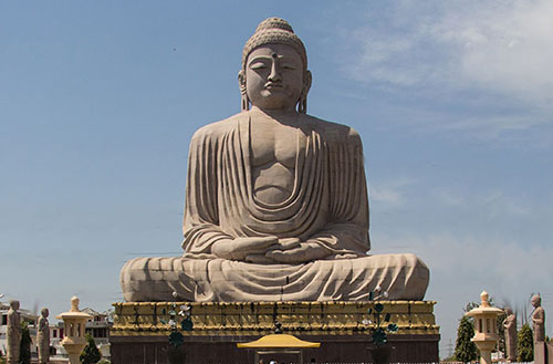 Buddha Tree